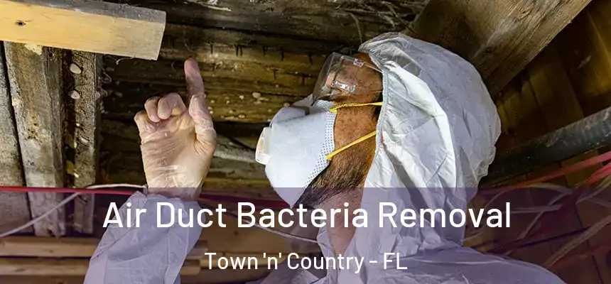 Air Duct Bacteria Removal Town 'n' Country - FL