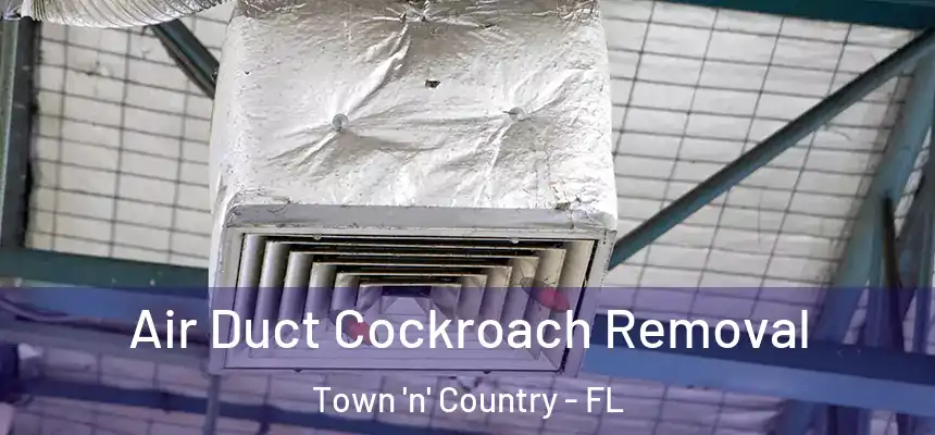Air Duct Cockroach Removal Town 'n' Country - FL