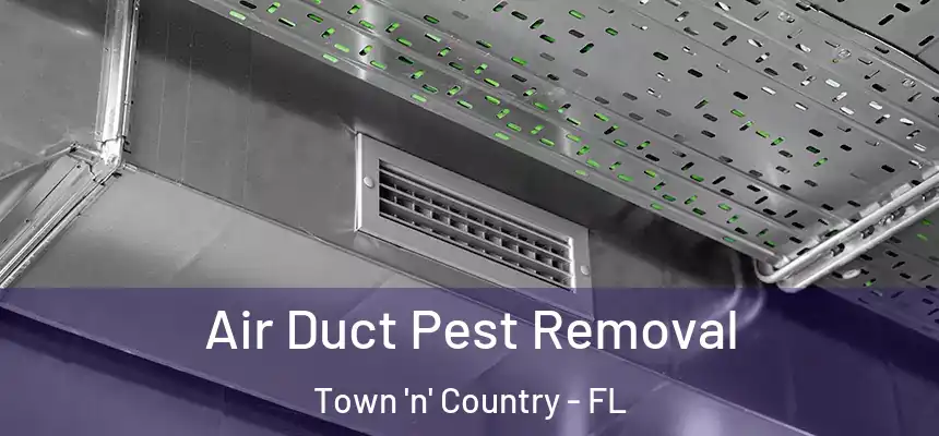 Air Duct Pest Removal Town 'n' Country - FL