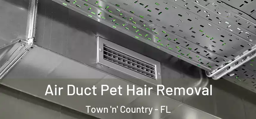 Air Duct Pet Hair Removal Town 'n' Country - FL