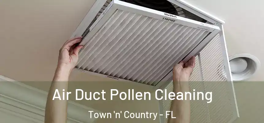 Air Duct Pollen Cleaning Town 'n' Country - FL