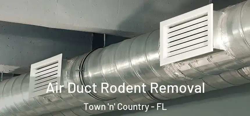 Air Duct Rodent Removal Town 'n' Country - FL