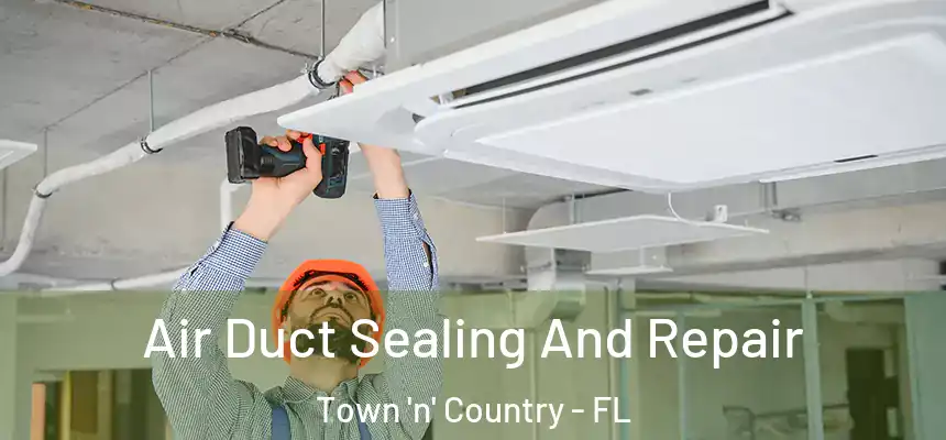 Air Duct Sealing And Repair Town 'n' Country - FL