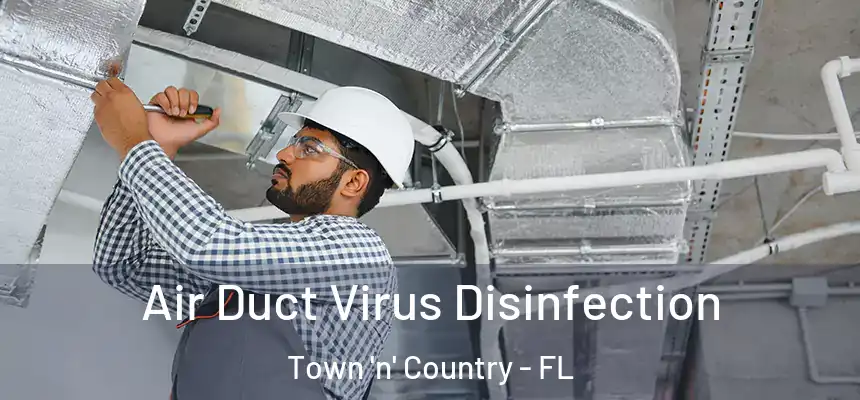 Air Duct Virus Disinfection Town 'n' Country - FL