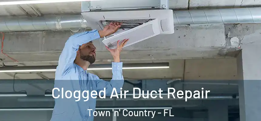 Clogged Air Duct Repair Town 'n' Country - FL