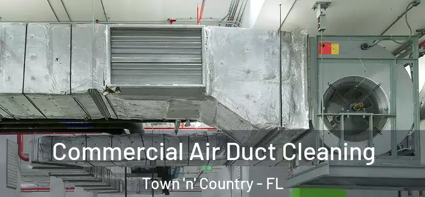 Commercial Air Duct Cleaning Town 'n' Country - FL