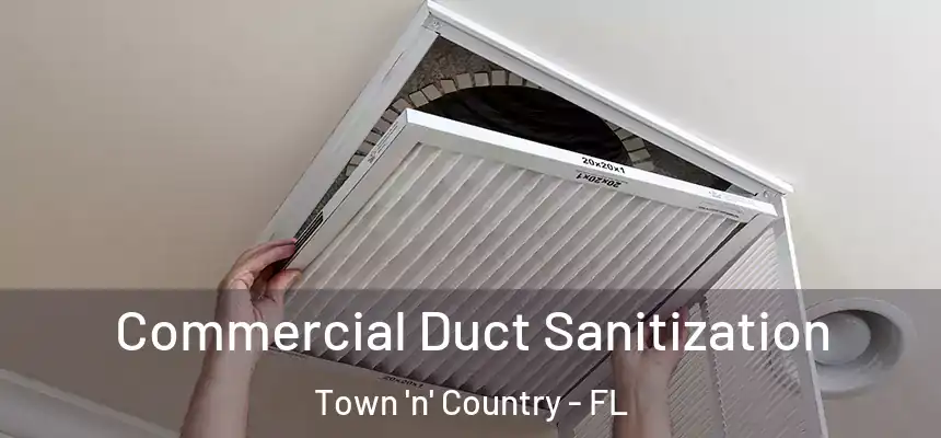 Commercial Duct Sanitization Town 'n' Country - FL