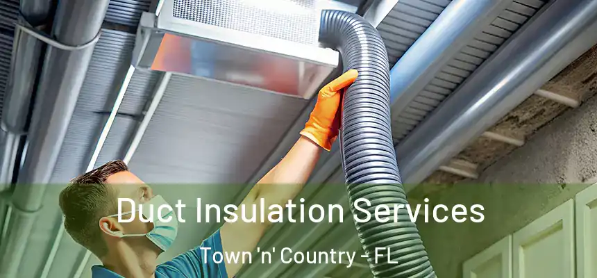 Duct Insulation Services Town 'n' Country - FL