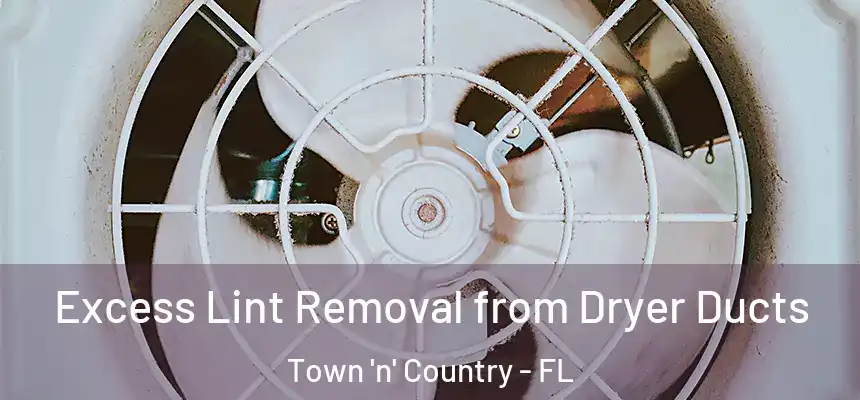 Excess Lint Removal from Dryer Ducts Town 'n' Country - FL