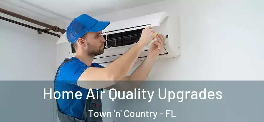 Home Air Quality Upgrades Town 'n' Country - FL