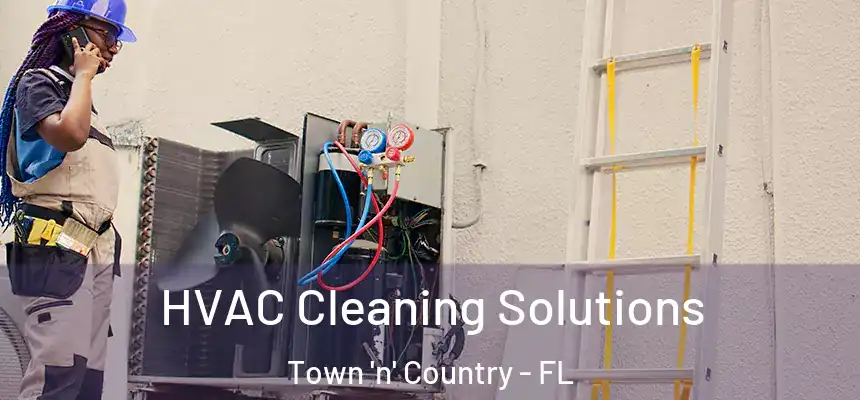HVAC Cleaning Solutions Town 'n' Country - FL
