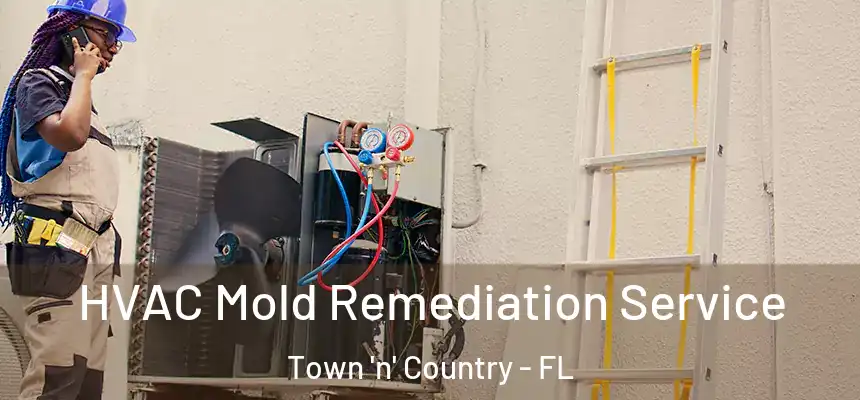 HVAC Mold Remediation Service Town 'n' Country - FL