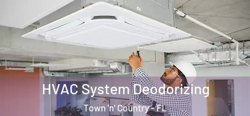 HVAC System Deodorizing Town 'n' Country - FL