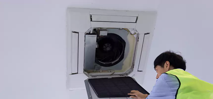 Our Dryer Vent Sanitization Service Services in Town 'n' Country, FL