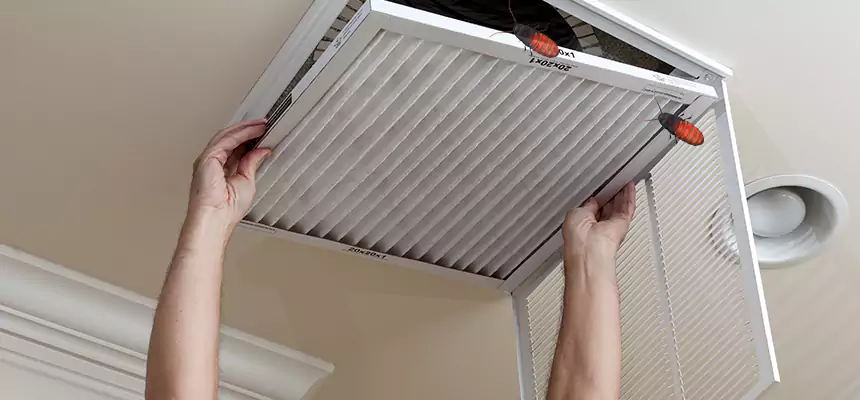 Our Insect Removal from Air Ducts Services in Town 'n' Country, FL