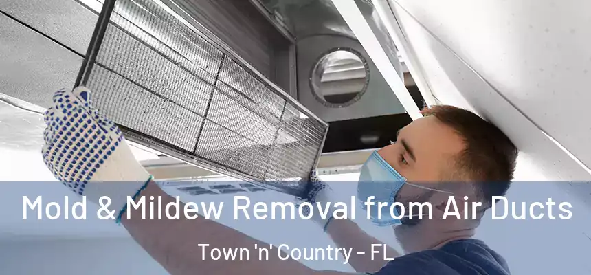 Mold & Mildew Removal from Air Ducts Town 'n' Country - FL