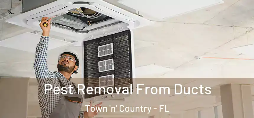 Pest Removal From Ducts Town 'n' Country - FL