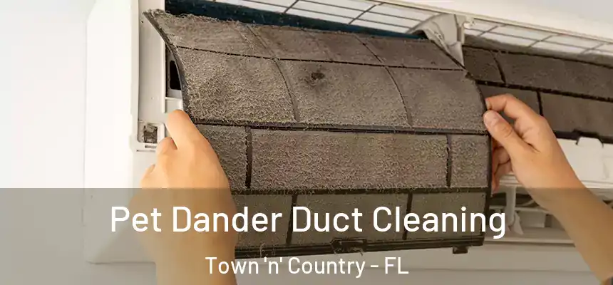 Pet Dander Duct Cleaning Town 'n' Country - FL
