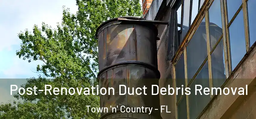 Post-Renovation Duct Debris Removal Town 'n' Country - FL