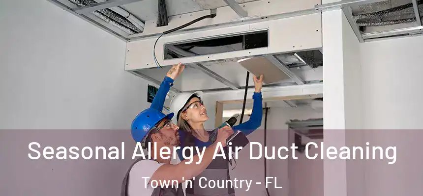 Seasonal Allergy Air Duct Cleaning Town 'n' Country - FL