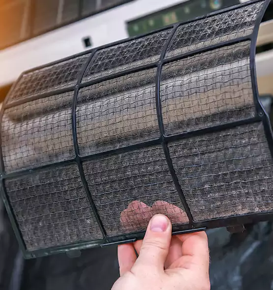 About Pet Dander Duct Cleaning in Town 'n' Country, FL