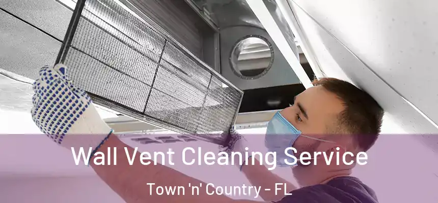 Wall Vent Cleaning Service Town 'n' Country - FL